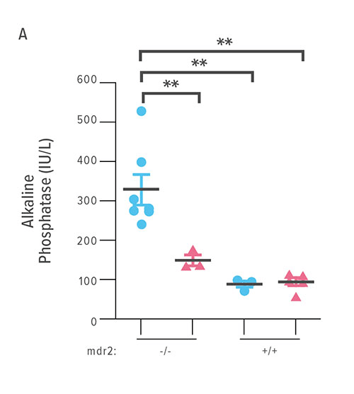 Fig A: This chart compares ALP levels in four groups of mice. Body weights were recorded throughout the 14 days of intervention. ALP levels were determined on blood sampled by cardiocentesis on DOT 14. 
